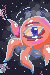 The Flesh